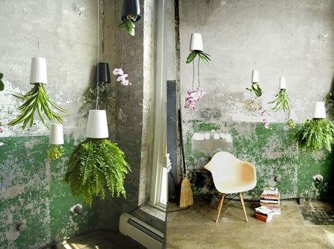 Cultivo moderno