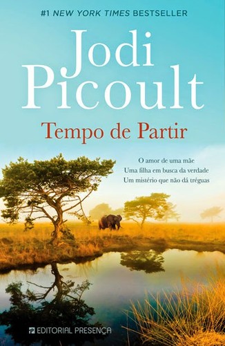 Atual leitura… Tempo de Partir