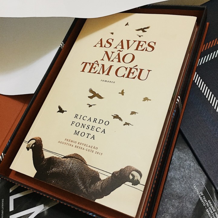 As Aves Não Têm Céu | Ricardo Fonseca Mota