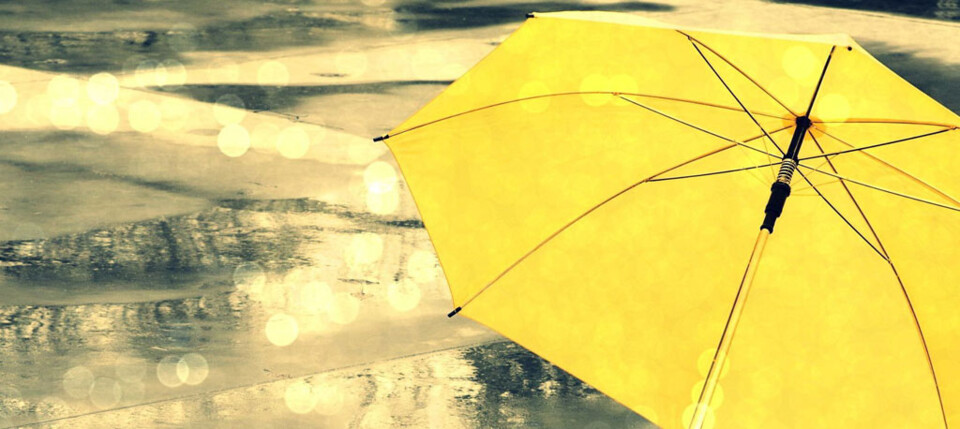 Chegou a chuva