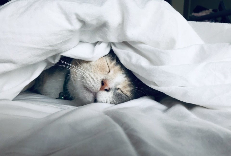 Dormir bem quente