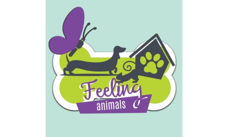Feeling Animals, todos a ajudar!