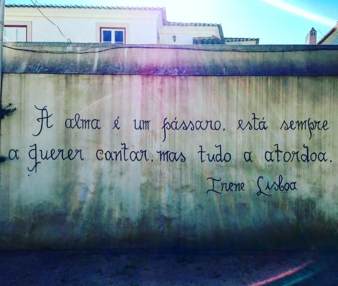 Citações | 32 | Alma de Pássaro